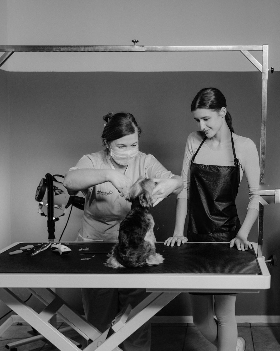 Instructor guiding a student at the grooming table